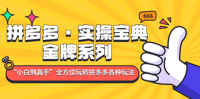 拼多多·实操宝典：金牌系列“小白到高手”带你全方位玩转拼多多各种玩法-优创网