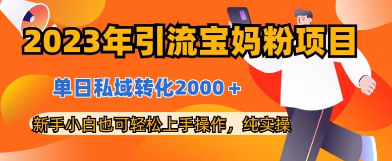 2023年引流宝妈粉项目，单日私域转化2000＋，新手小白也可轻松上手操作，纯实操-优创网