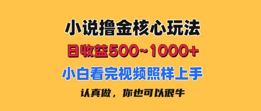 小说撸金核心玩法，日收益500-1000+，小白看完照样上手，0成本有手就行-优创网