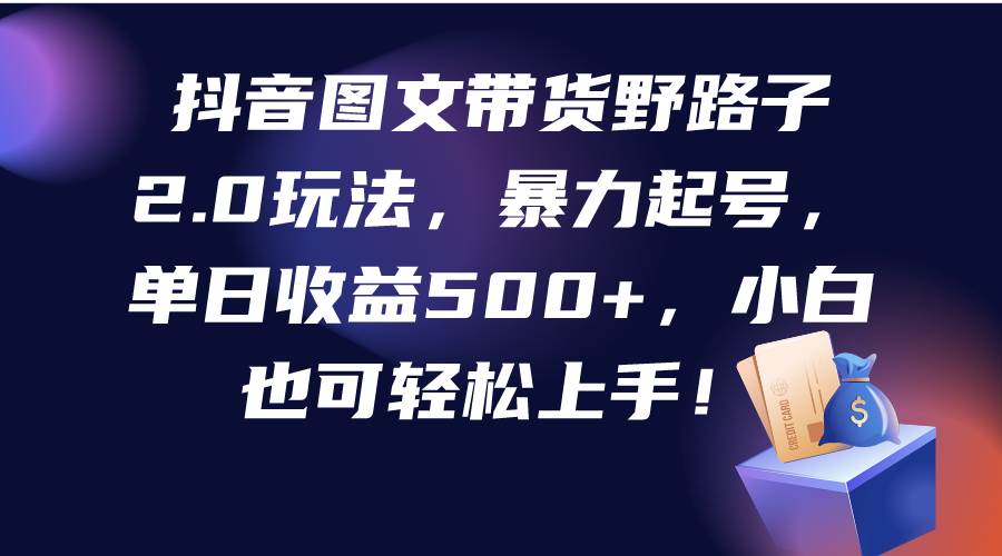 抖音图文带货野路子2.0玩法，暴力起号，单日收益500+，小白也可轻松上手！-优创网