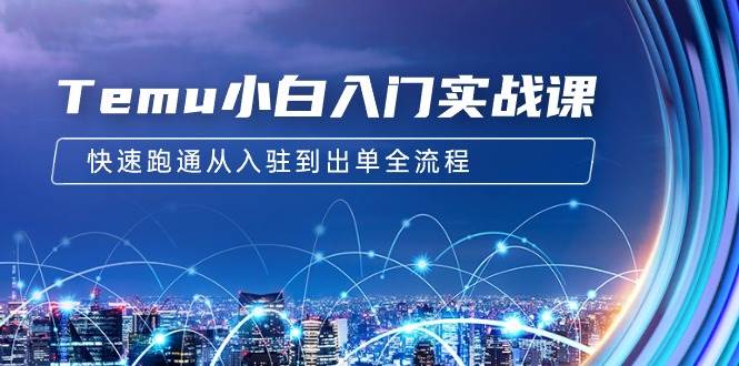 Temu小白入门实战课：跨境拼多多电商培训 快速跑通从入驻到出单全流程-12节-优创网