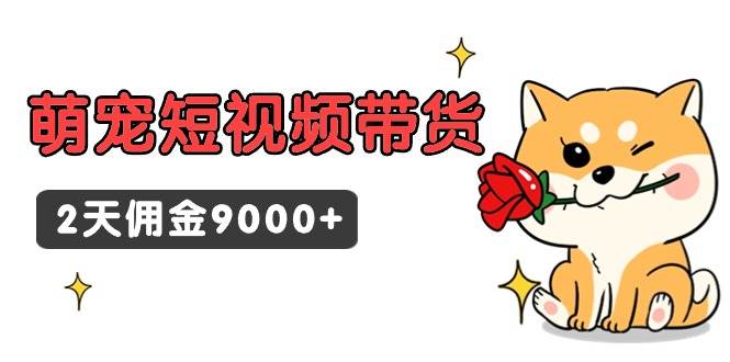 东哲日记·萌宠短视频带货，2天佣金9000+-优创网