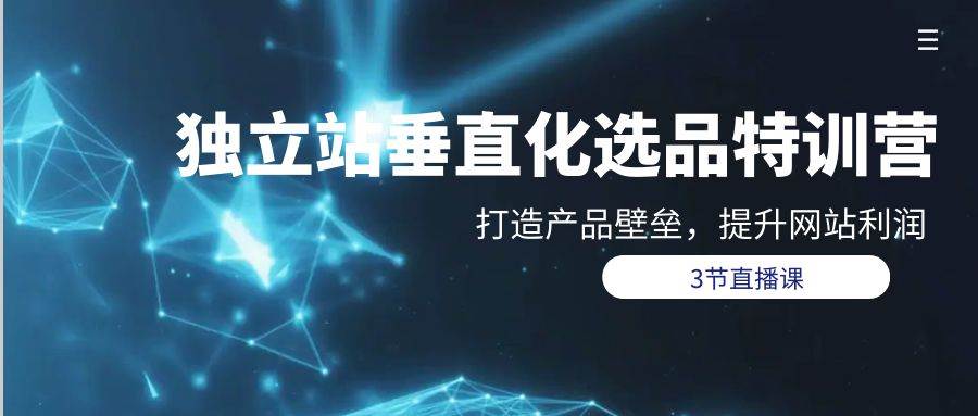 独立站-垂直化选品训练营，打造产品壁垒，提升网站利润（3节直播课）-优创网