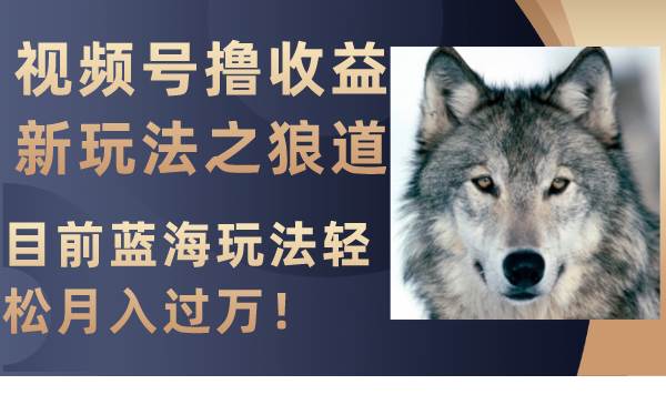 视频号撸收益新玩法之狼道，目前蓝海玩法轻松月入过万！-优创网