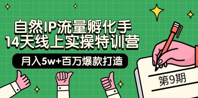 自然IP流量孵化手 14天线上实操特训营【第9期】月入5w+百万爆款打造 (74节)-优创网