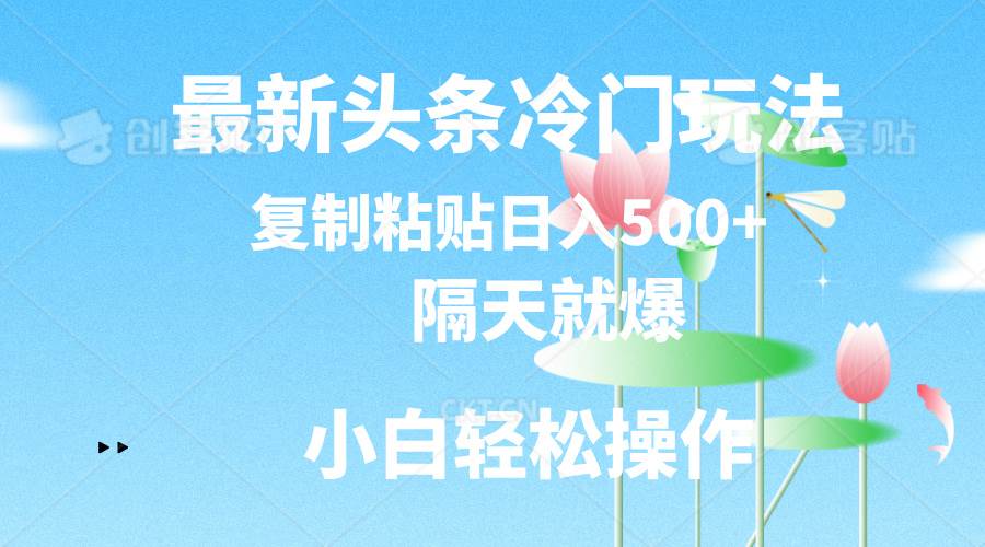 最新头条冷门玩法，隔天就爆，复制粘贴日入500+-优创网