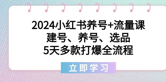 2024小红书养号+流量课：建号、养号、选品，5天多款打爆全流程-优创网