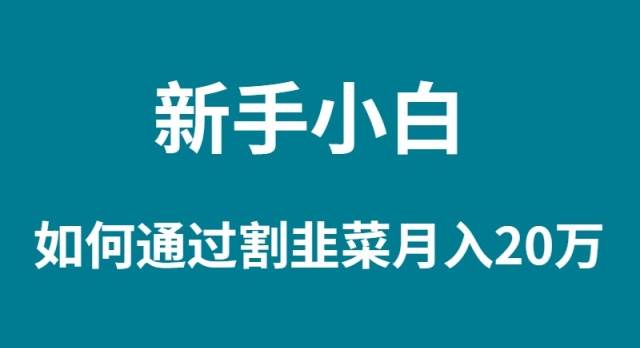 新手小白如何通过割韭菜月入 20W-优创网