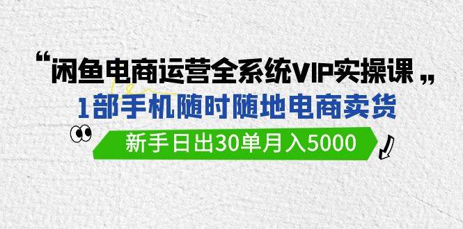 闲鱼电商运营全系统VIP实战课，1部手机随时随地卖货，新手日出30单月入5000-优创网