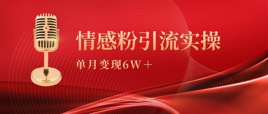 单月变现6w+，情感粉引流变现实操课-优创网