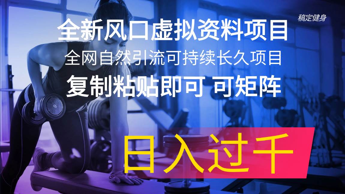 全新风口虚拟资料项目 全网自然引流可持续长久项目 复制粘贴即可可矩阵…-优创网