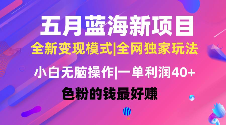五月蓝海项目全新玩法，小白无脑操作，一天几分钟，矩阵操作，月入4万+-优创网