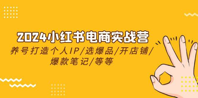 2024小红书电商实战营，养号打造IP/选爆品/开店铺/爆款笔记/等等（24节）-优创网