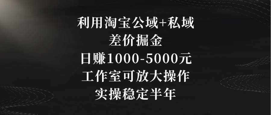 利用淘宝公域+私域差价掘金，日赚1000-5000元，工作室可放大操作，实操…-优创网