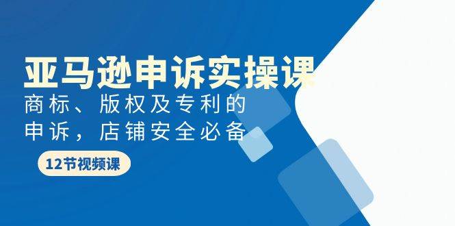 亚马逊-申诉实战课，商标、版权及专利的申诉，店铺安全必备-优创网